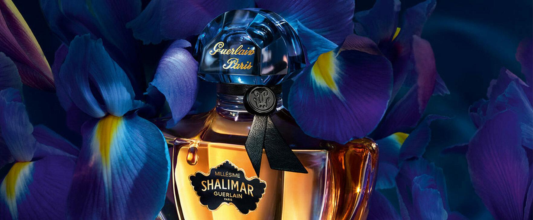 Shalimar Millésime Iris: The New Limited Edition Fragrance Creation From Guerlain
