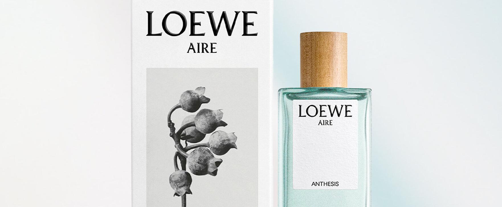 Loewe präsentiert „Aire Anthesis“ als neues Highlight der „Aire“-Kollektion