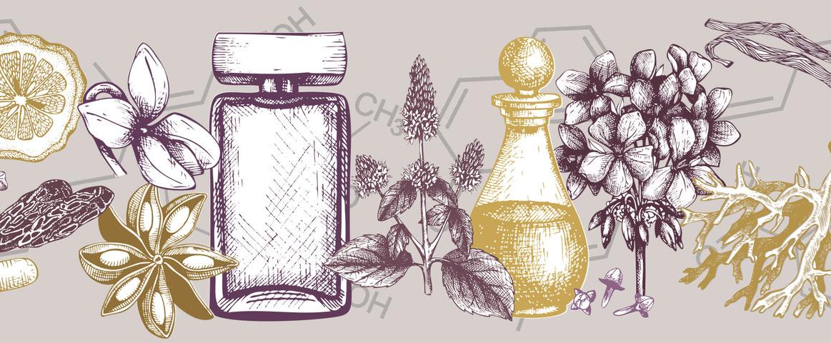 2023 Reflections: My deep delve into the world of perfume