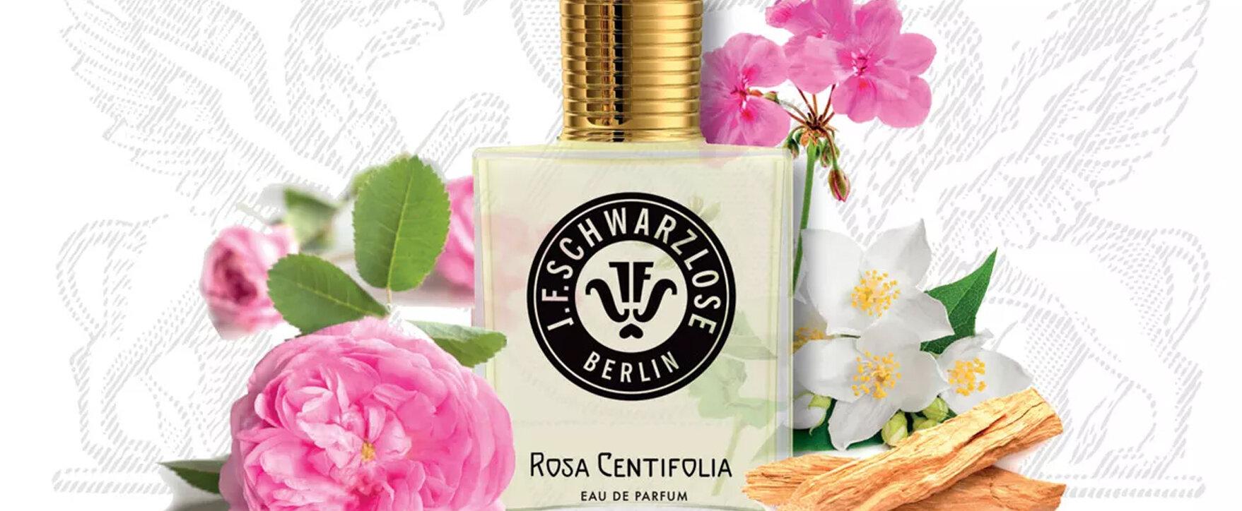 “Rosa Centifolia” - J.F. Schwarzlose Berlin Introduces New Edition of the Classic Rose Fragrance