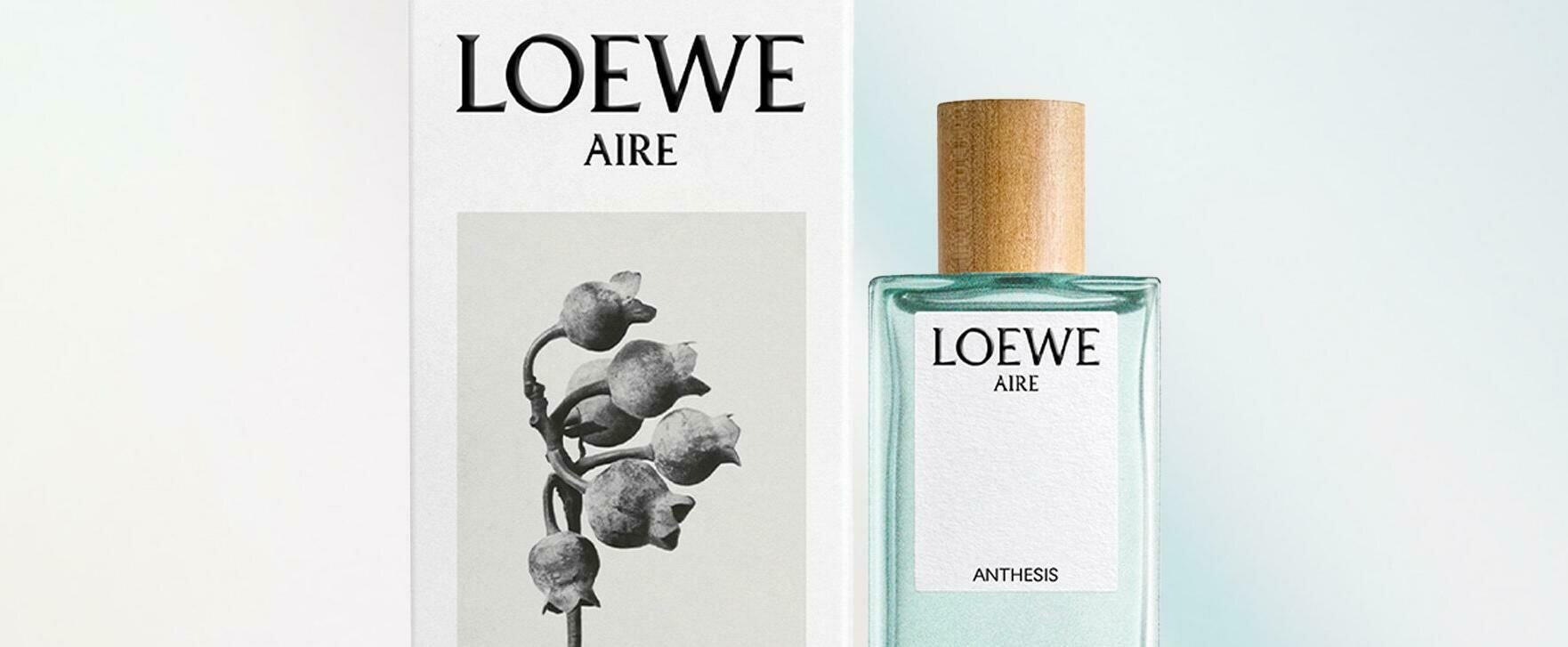 Loewe Presents "Aire Anthesis" as a New Highlight of the "Aire" Collection