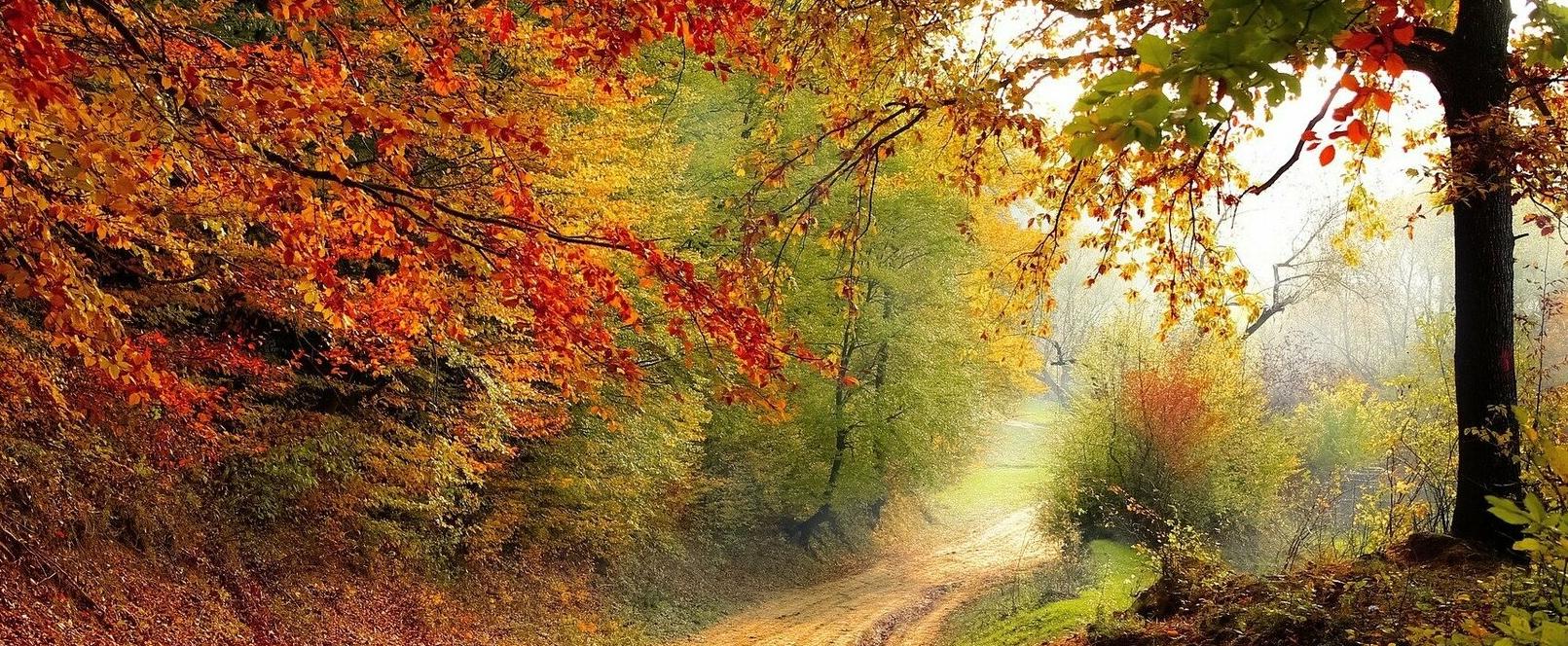 Die Reise in den olfaktorischen Herbst und Winter - Part 2