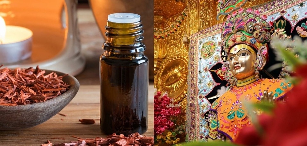 Sandelholz: Heiliges Holz und Duftikone der Parfümerie