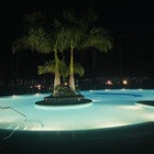 Night swimming…