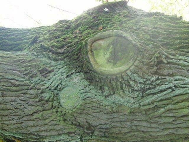 Nature is watching you! Be kind...