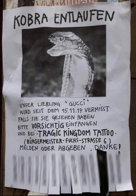 Vielleicht mag mal jemand bei Tragic Kingdom Tattoo anrufen und fragen, ob es ein Happyend gab? :-o