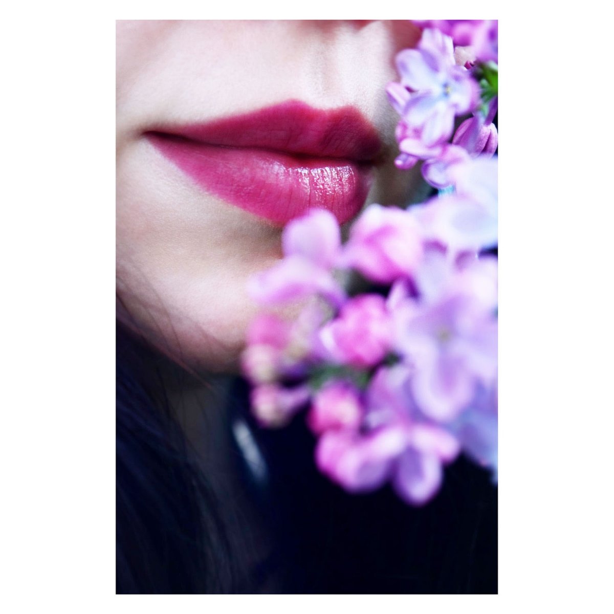 Lilac love