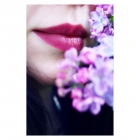 Lilac love