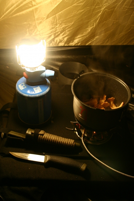 Night scene, and always mushrooms on the stove :)