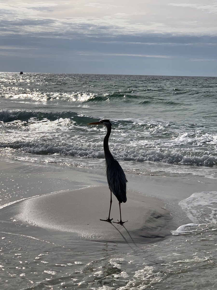 Navarre Beach, Florida, im März 2019
