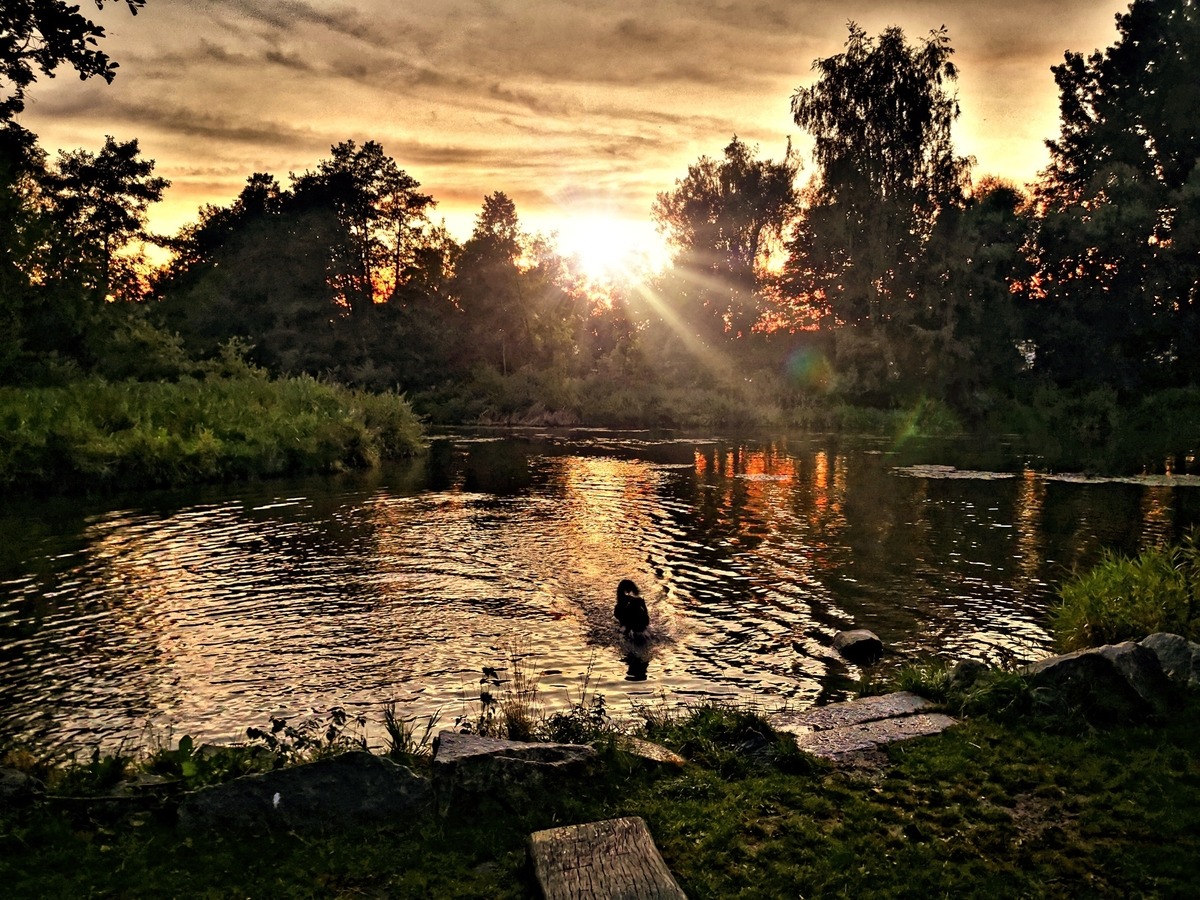 Abends am Fluss