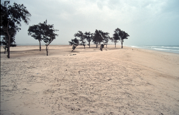 Strand in Süd-Mauretanien