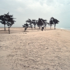 Strand in Süd-Mauretan...
