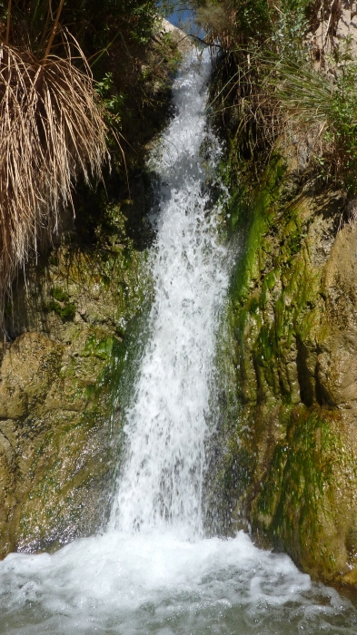 Wasserfall im Ein Gedi Nationalpark