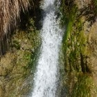 Wasserfall im Ein Gedi ...