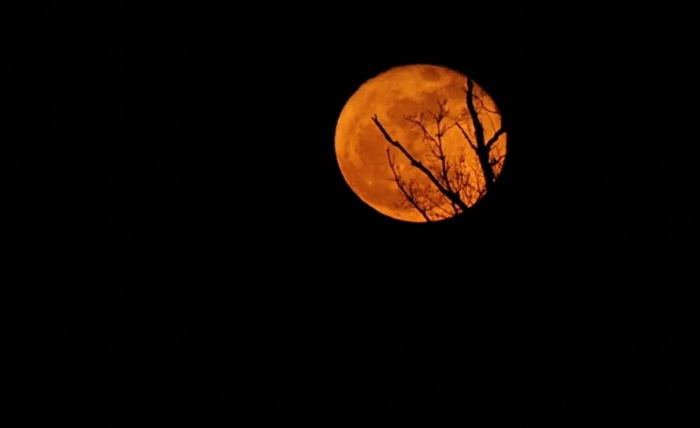 Einmal der "Halloween-Mond" für Tivi, die den Mond vor lauter Nachthimmel nicht sehen kann :-D