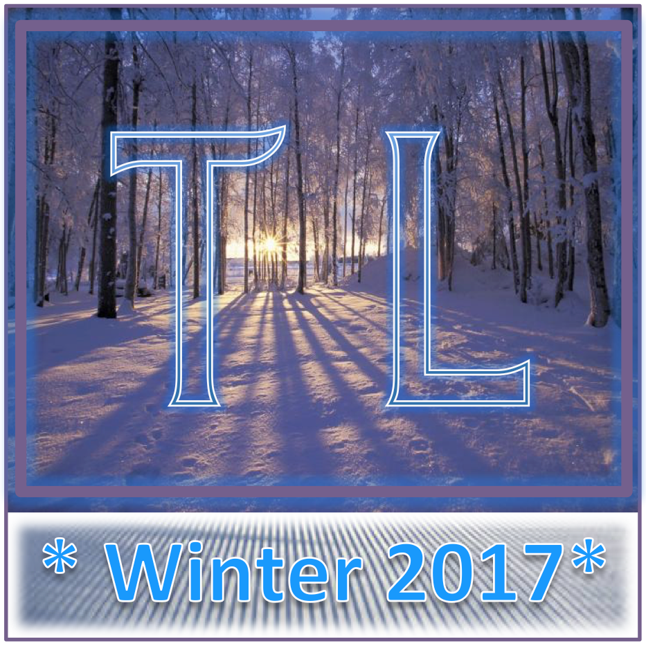 Winter Toodle 2017