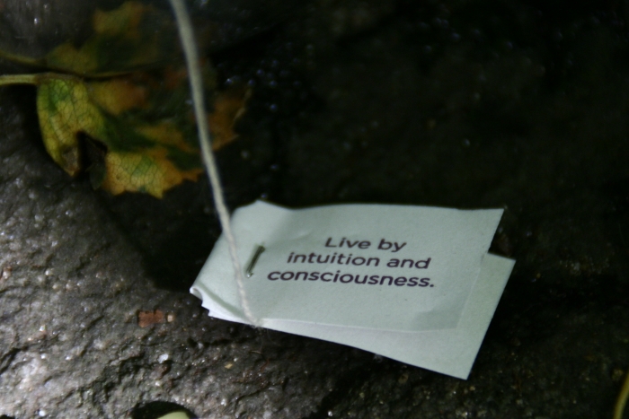 A quote on a Yogi teabag string, I incidentally noticed while the tea was brewing and liked it :)
