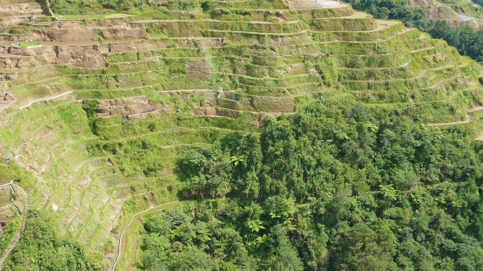 Das 8. Weltwunder - die Reisterrassen von Banaue - Philippinen