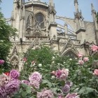 Notre Dame de Paris zwi...
