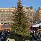 Weihnachtsmarkt in Zür...