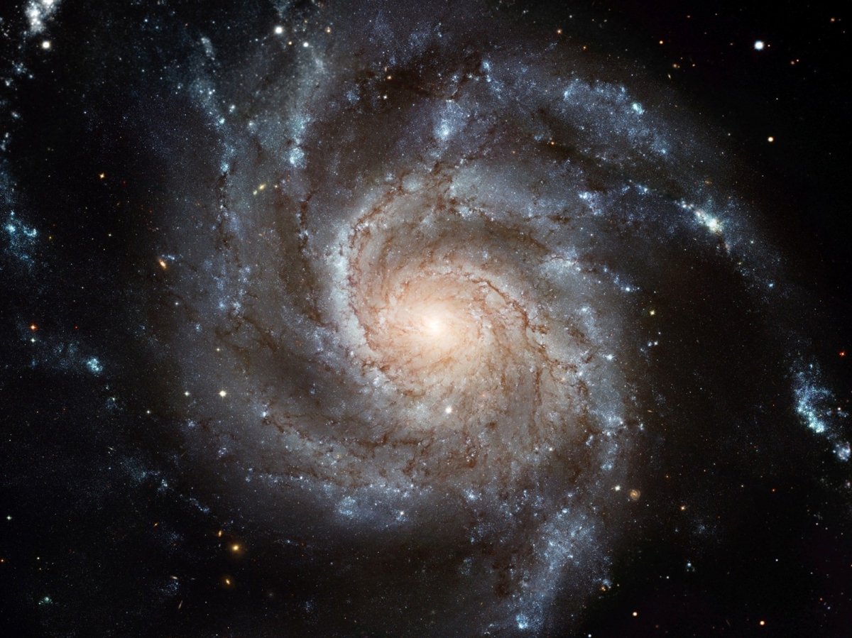 So könnte unsere Milchstrasse aussehen: eine Balkenspiralgalaxie. Unsere Galaxis umfasst ca. 200 - 400 Milliarden Sternensystemen. Sie hat 2 grosse Arme und 2 kleine und wir befinden uns im kleinen Orionarm in einer ruhigen, äusseren Ecke.