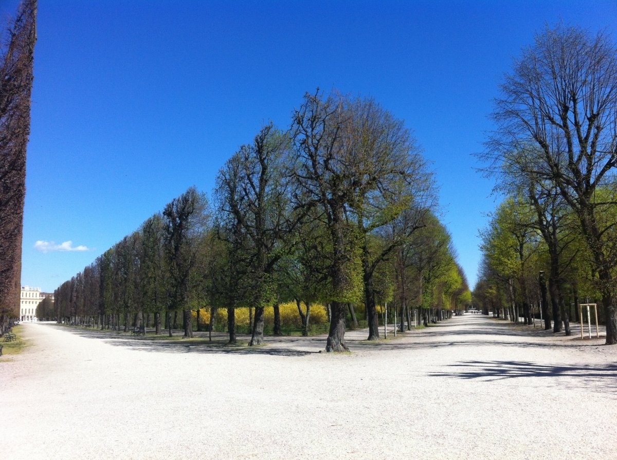 Es kommt der Mai und ned nur in Schönbrunn..;)