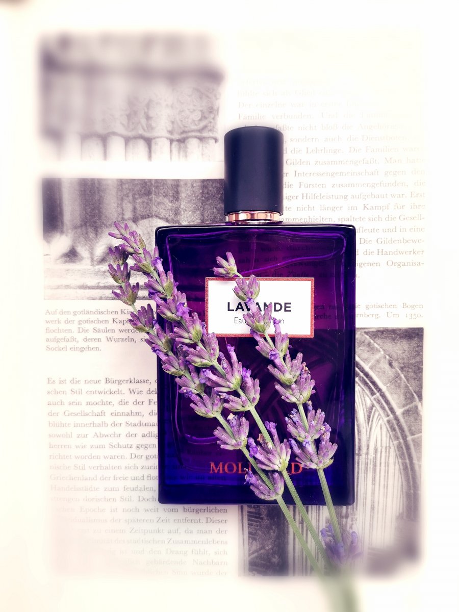 Eine natürliche Lavendel