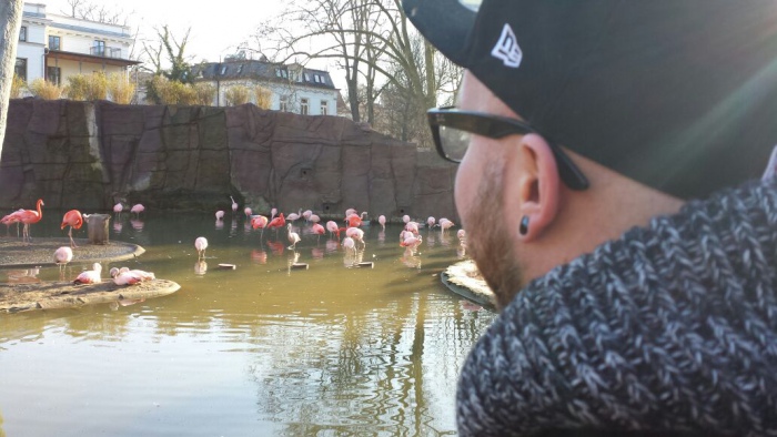 Flamingo-Lagune ist der Hit