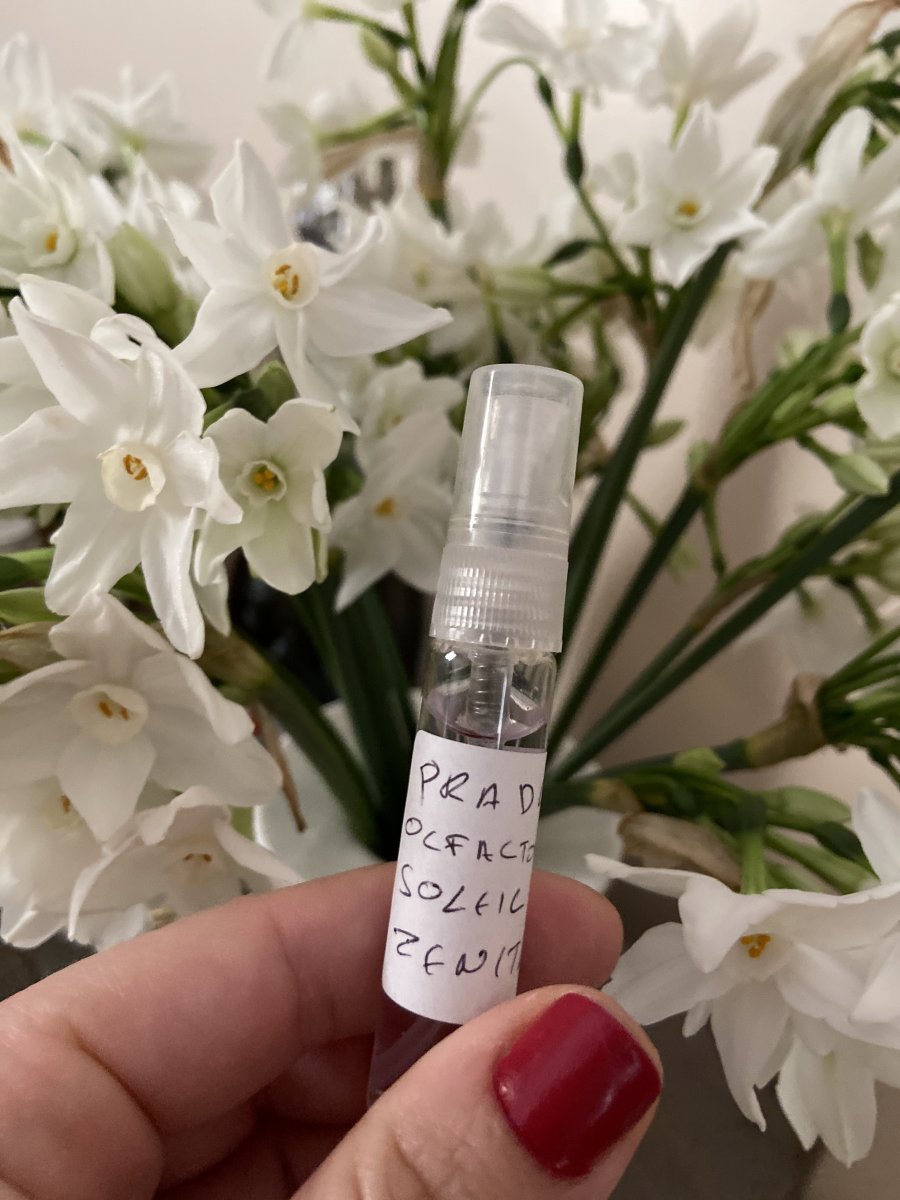 This perfume (Prada soleil au zenith) smells like this flower (dafodill) with a strong sweet vanilla base. I had this flower a lot in my childhood so it smells like my childhood! Its not my taste for a perfume though but I loved discovering it.