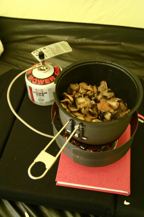 Frying mushrooms on my stove in the tent :)