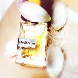 Nudiflorum (Extrait de Parfum) von Nasomatto