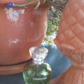Sorrentina von ID Parfums / Isabel Derroisné