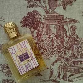 Blanc Violette - Histoires de Parfums