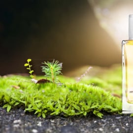 Endless Forest - JMP Artisan Perfumes