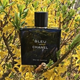 Bleu de Chanel (Eau de Parfum) - Chanel
