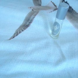 Geisha Blanche (Perfume Oil) - aroma M