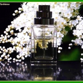 Osmanthus - The Different Company