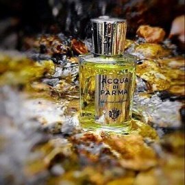 Gold Leather - Atelier Cologne