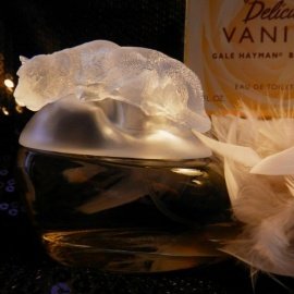 Delicious Vanilla - Gale Hayman