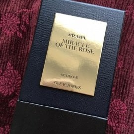 Olfactories - Miracle of the Rose by Prada
