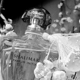 Shalimar Parfum Initial L'Eau - Guerlain