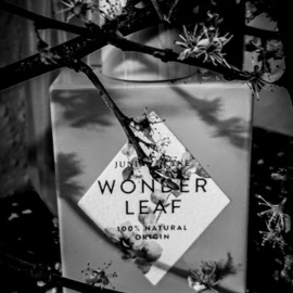Wonder Leaf by Juniper Lane