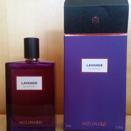 Lavande (Eau de Parfum) von Molinard