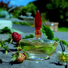 Flanade by Charrier / Parfums de Charières