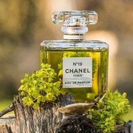 N°19 (Eau de Parfum) - Chanel