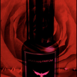 Absinthe-Minded - Anka Kuş Parfüm