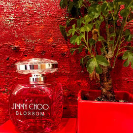 Blossom - Jimmy Choo