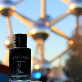 Sauvage (Eau de Parfum) - Dior