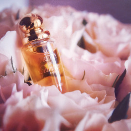 So Pretty (Eau de Parfum) by Cartier